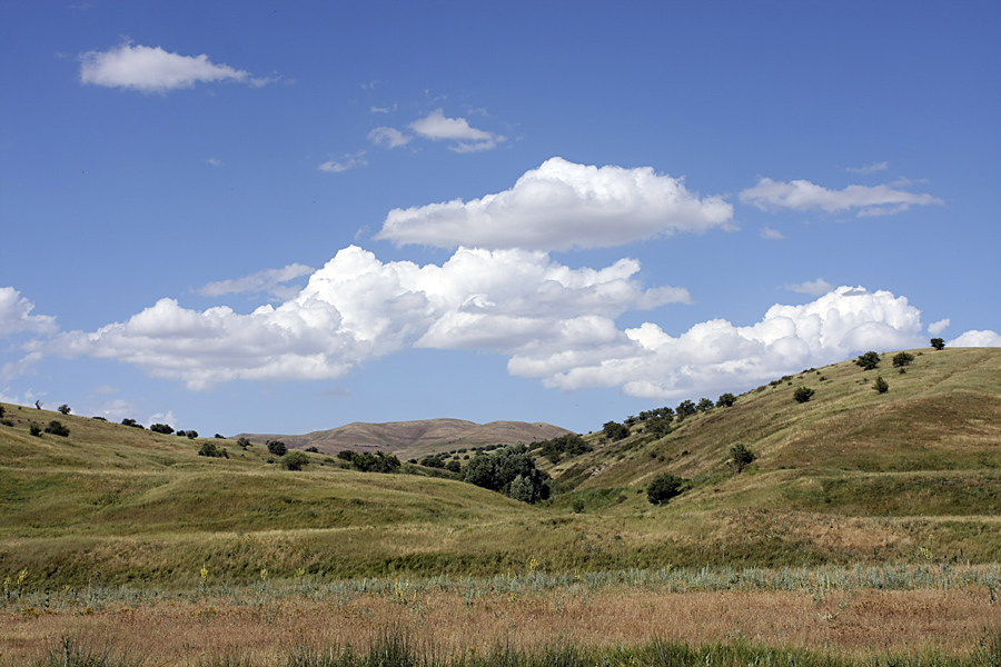 Верхний Боролдай, image of landscape/habitat.