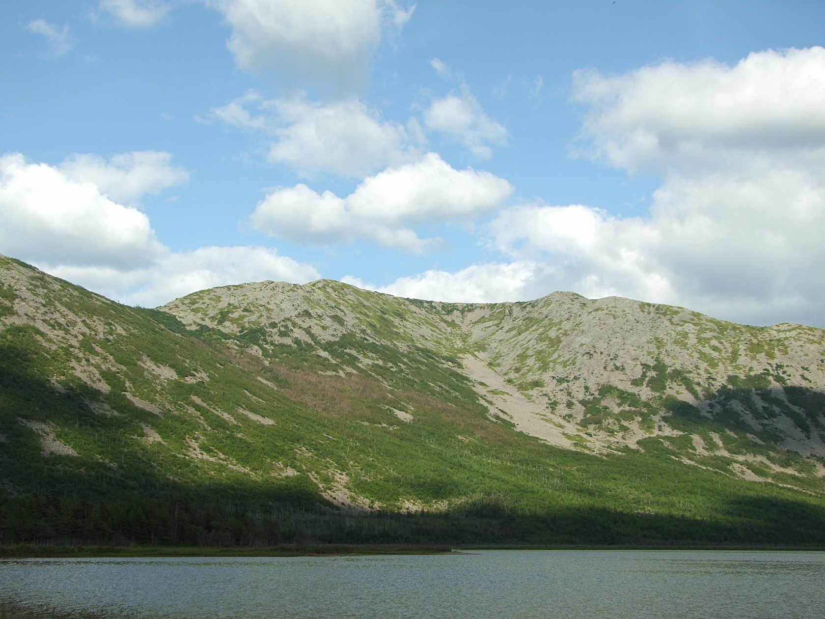 Соленое, image of landscape/habitat.