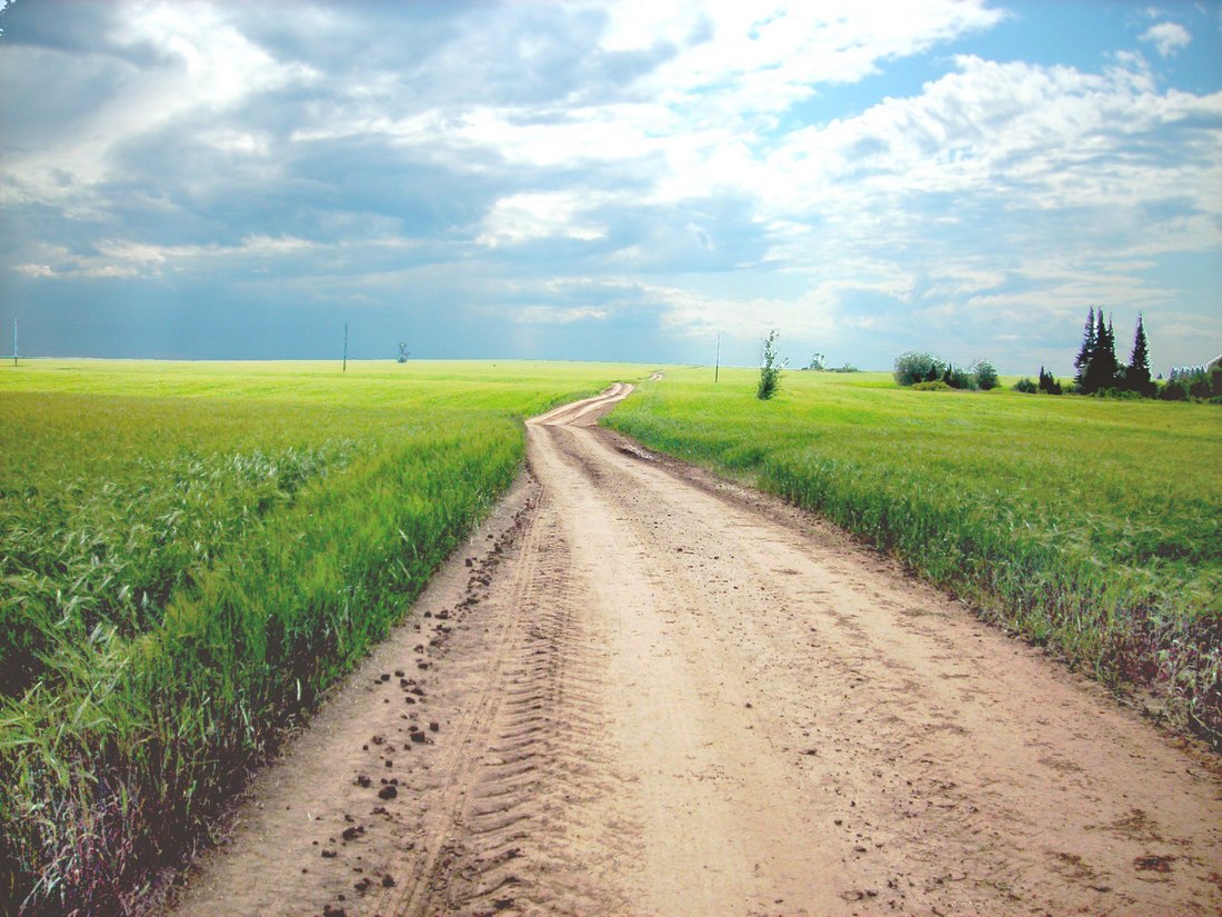 Окрестности села Гольяны (ЮЗ), image of landscape/habitat.