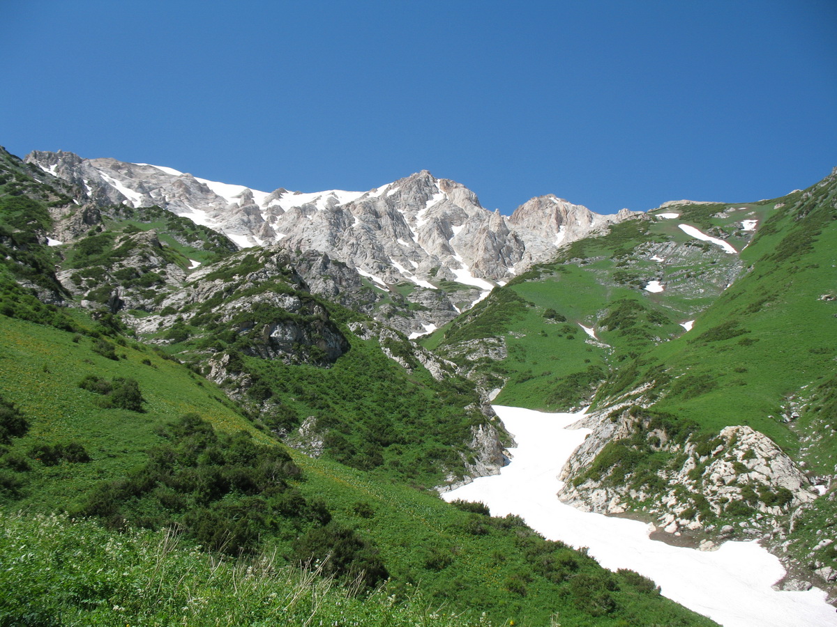 Урочище Кши-Каинды, image of landscape/habitat.