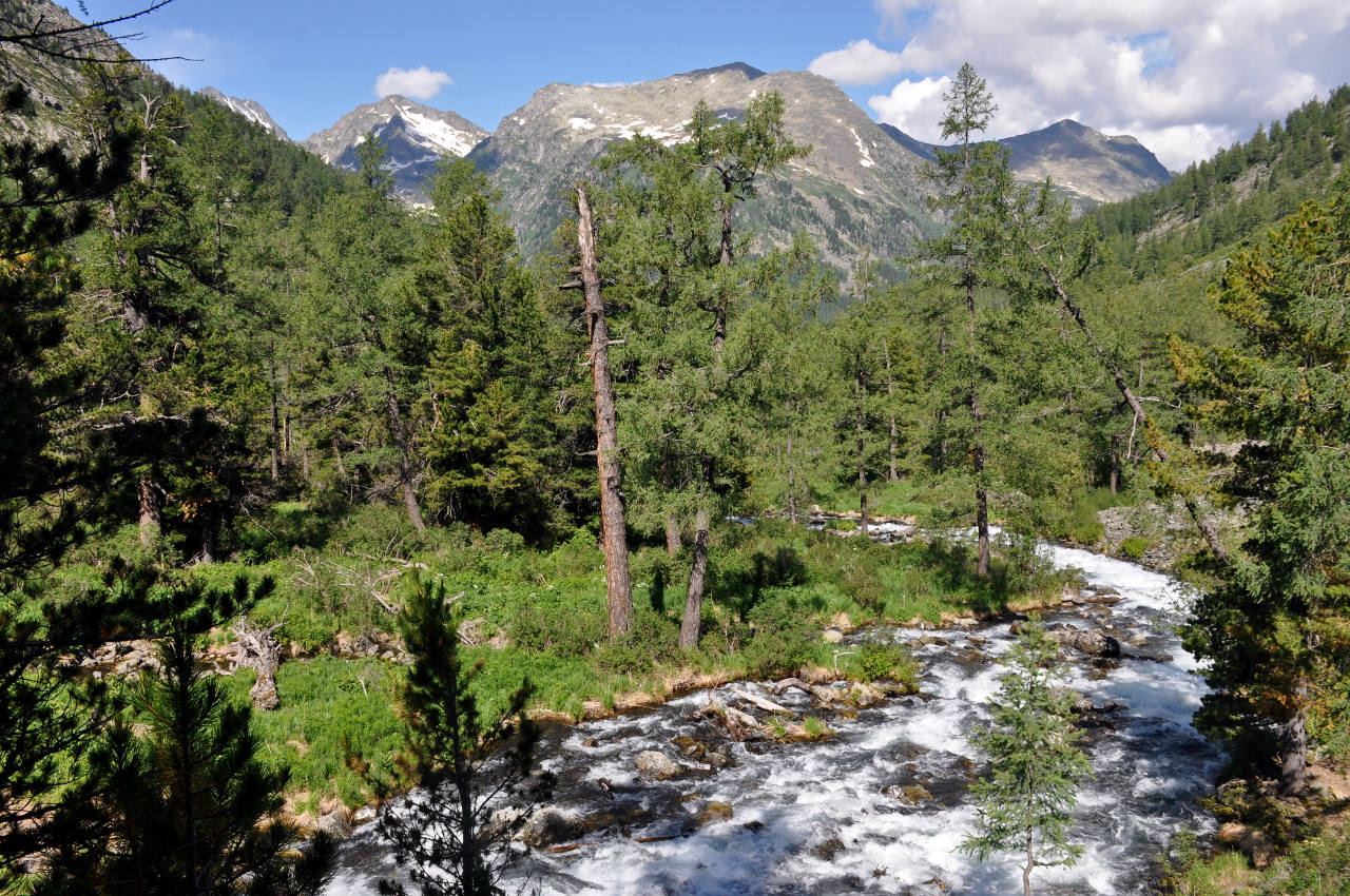 Озеро Поперечное, image of landscape/habitat.