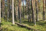 Изображение ландшафта