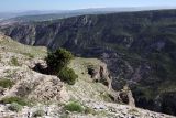 Степь у Сулакского каньона, image of landscape/habitat.