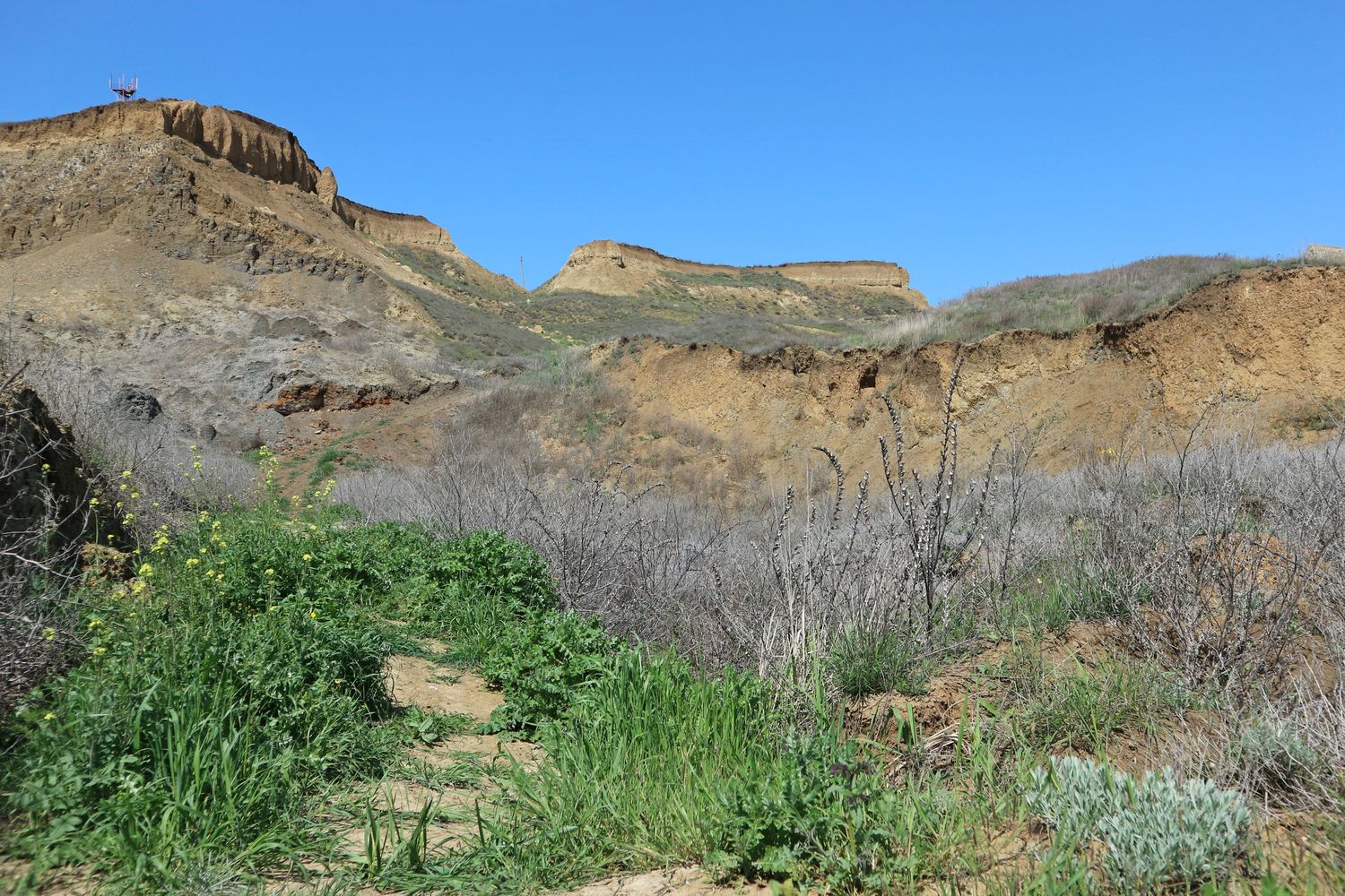 Железный Рог, image of landscape/habitat.