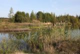 Image of landscape