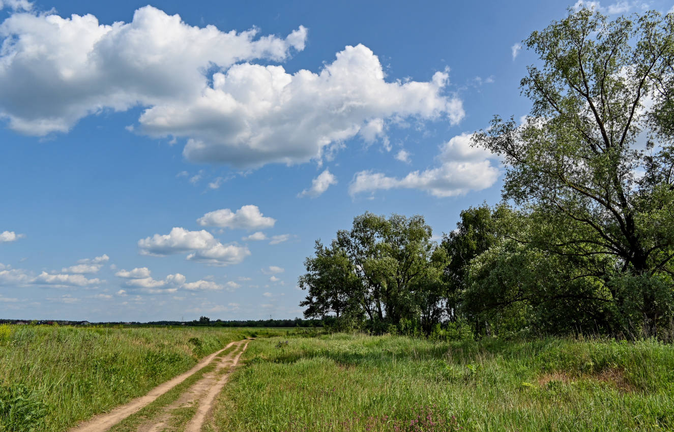 Железнодорожный, image of landscape/habitat.