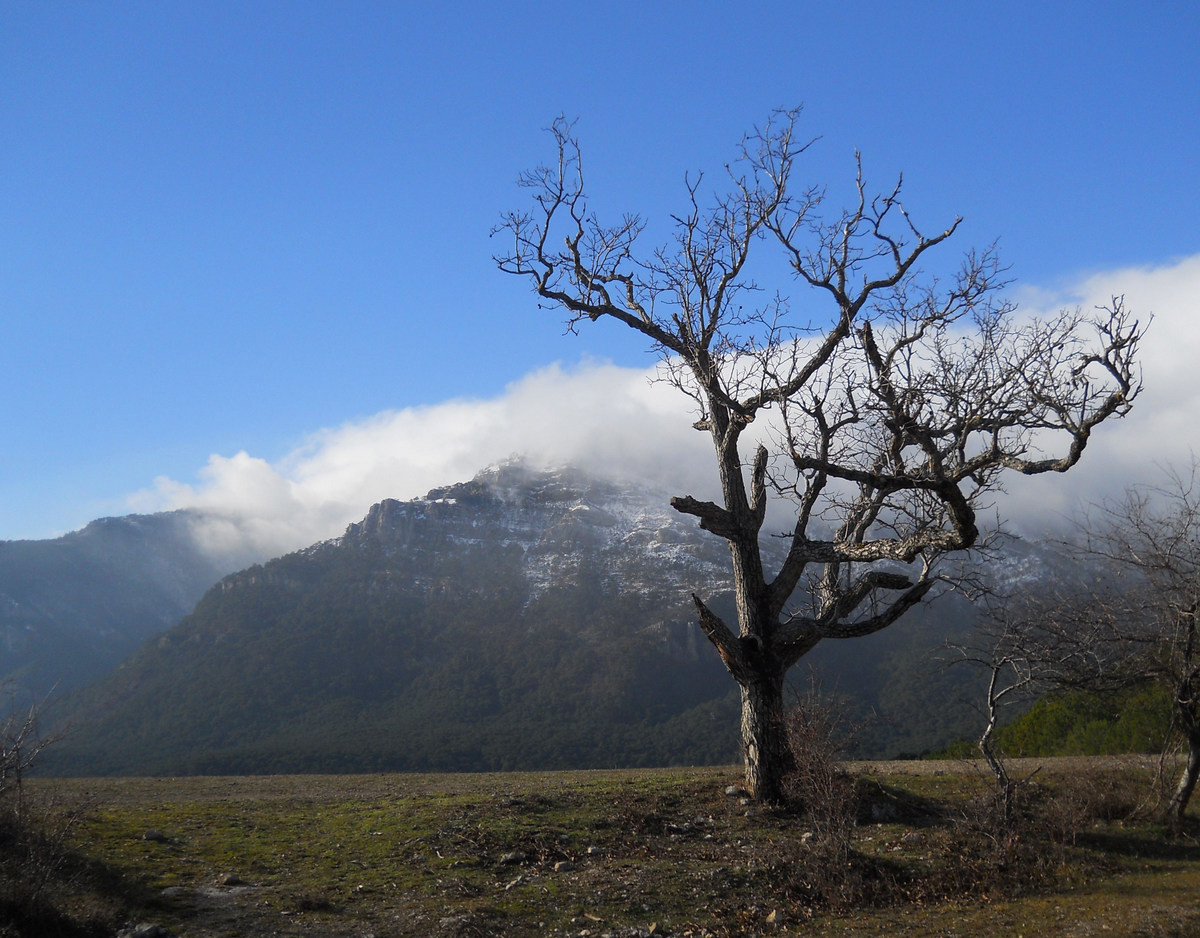 Ялта и окрестности, image of landscape/habitat.