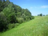 Image of landscape