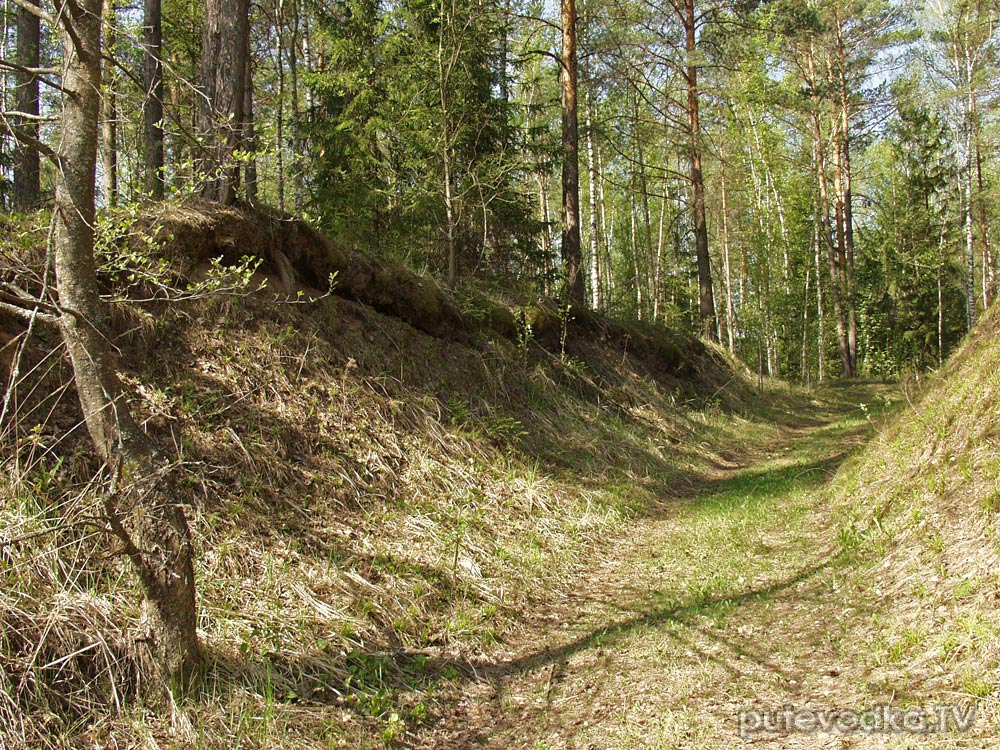 Запрудня, image of landscape/habitat.