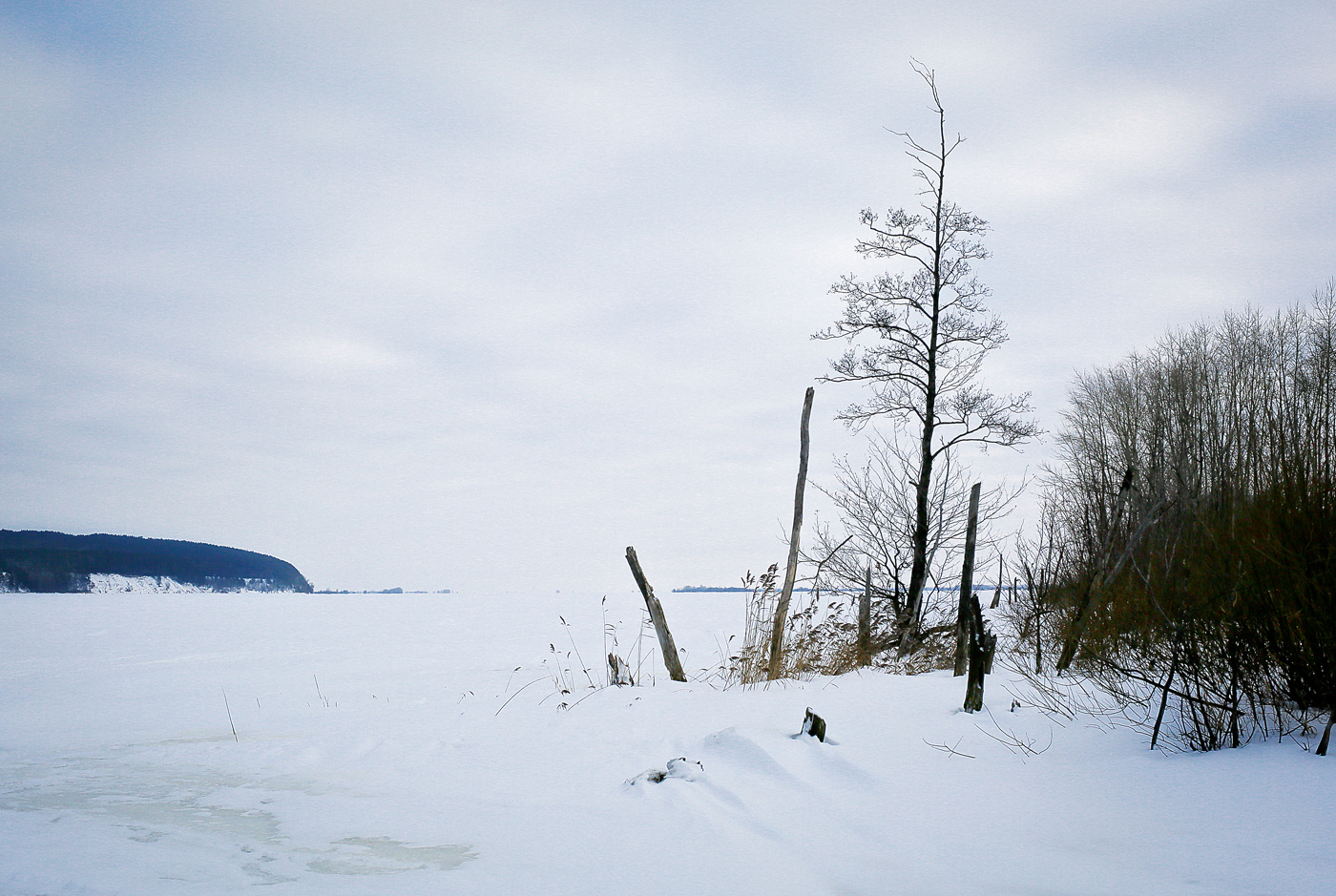 Окрестности села Красный Бор, image of landscape/habitat.