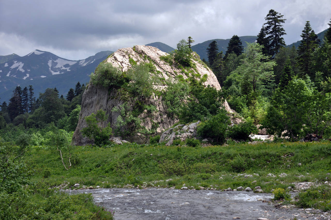 Верховья реки Белая, image of landscape/habitat.