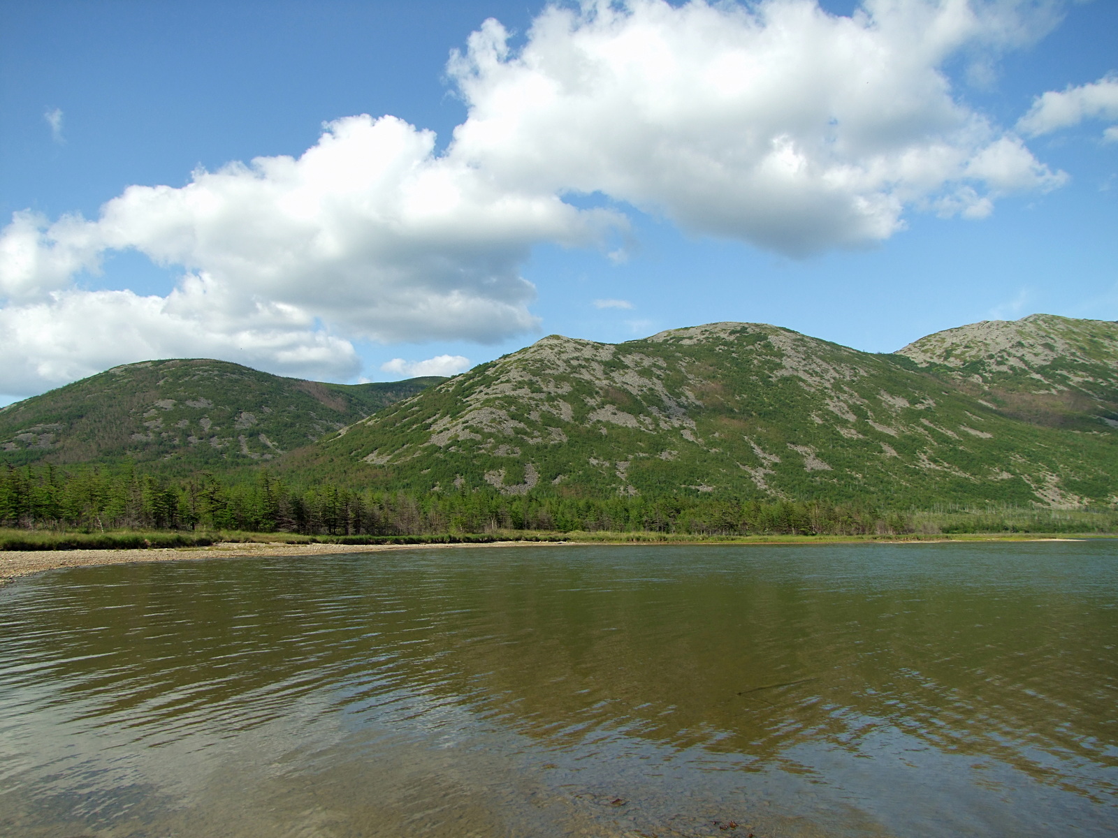 Соленое, image of landscape/habitat.