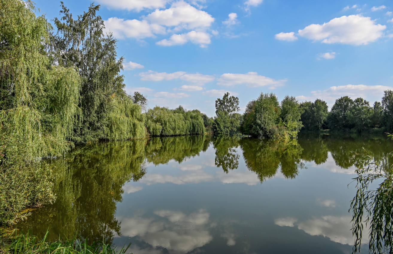 Железнодорожный, image of landscape/habitat.