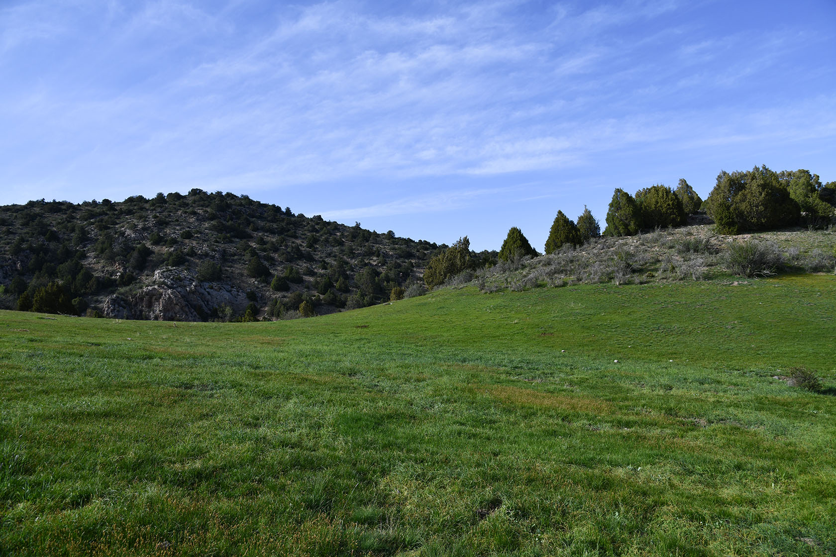 Уч-Булак, image of landscape/habitat.