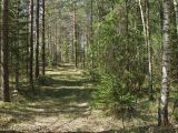 Image of landscape