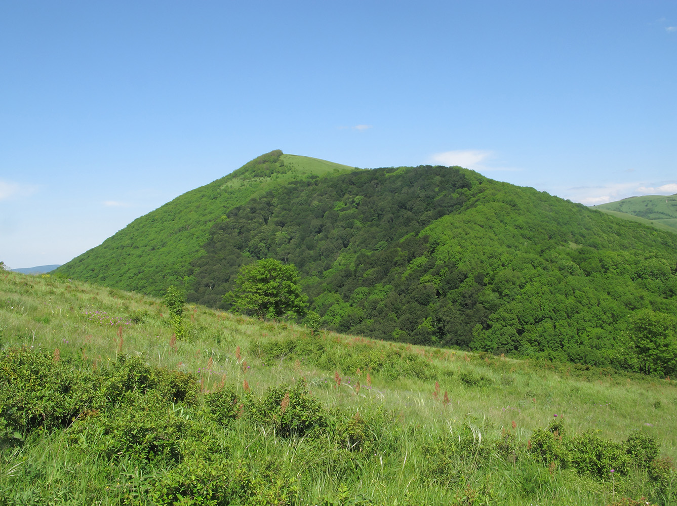 Гора Иорданова, изображение ландшафта.