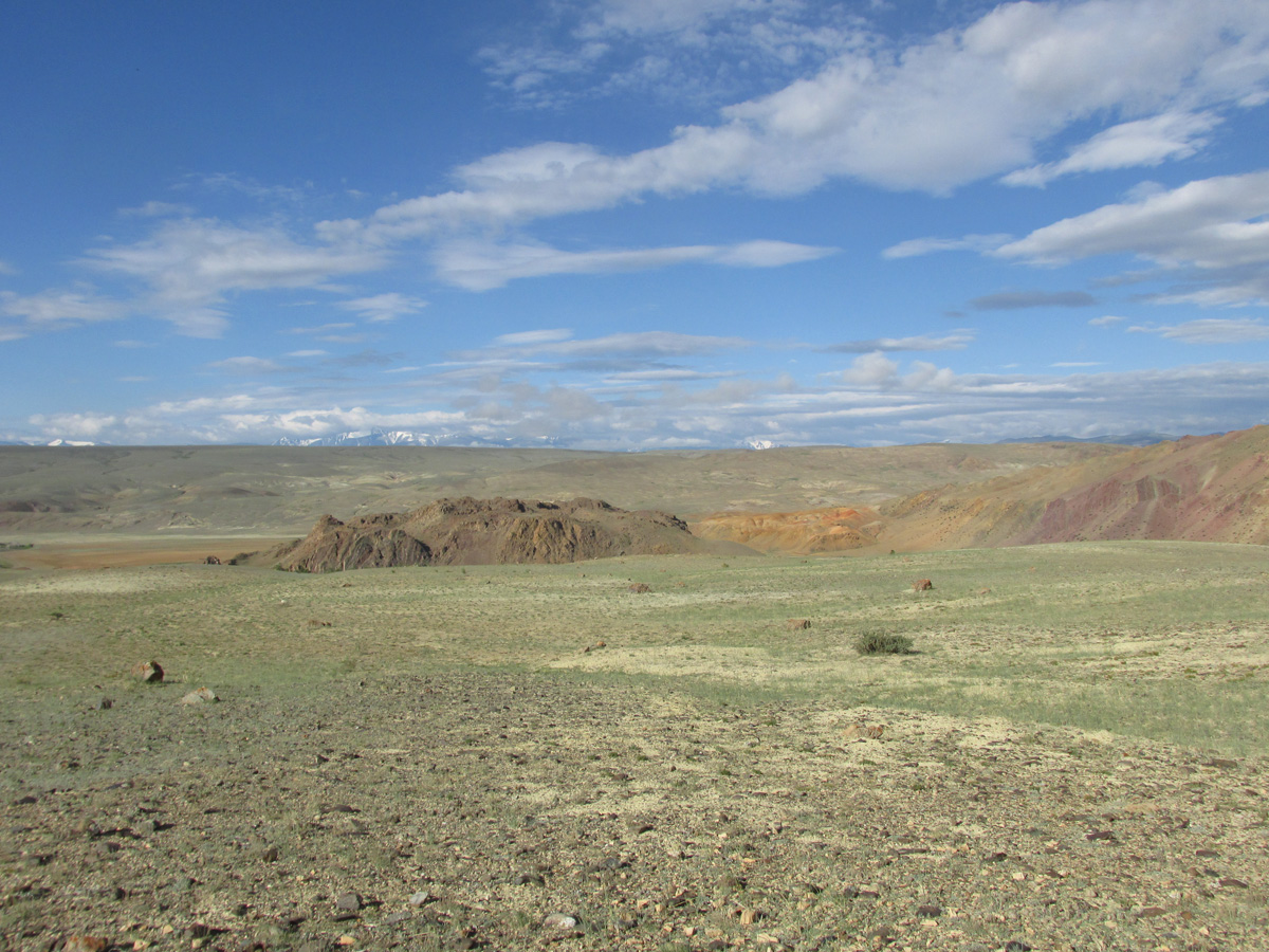 Тыдтуярык (кемпинг и рядом), image of landscape/habitat.