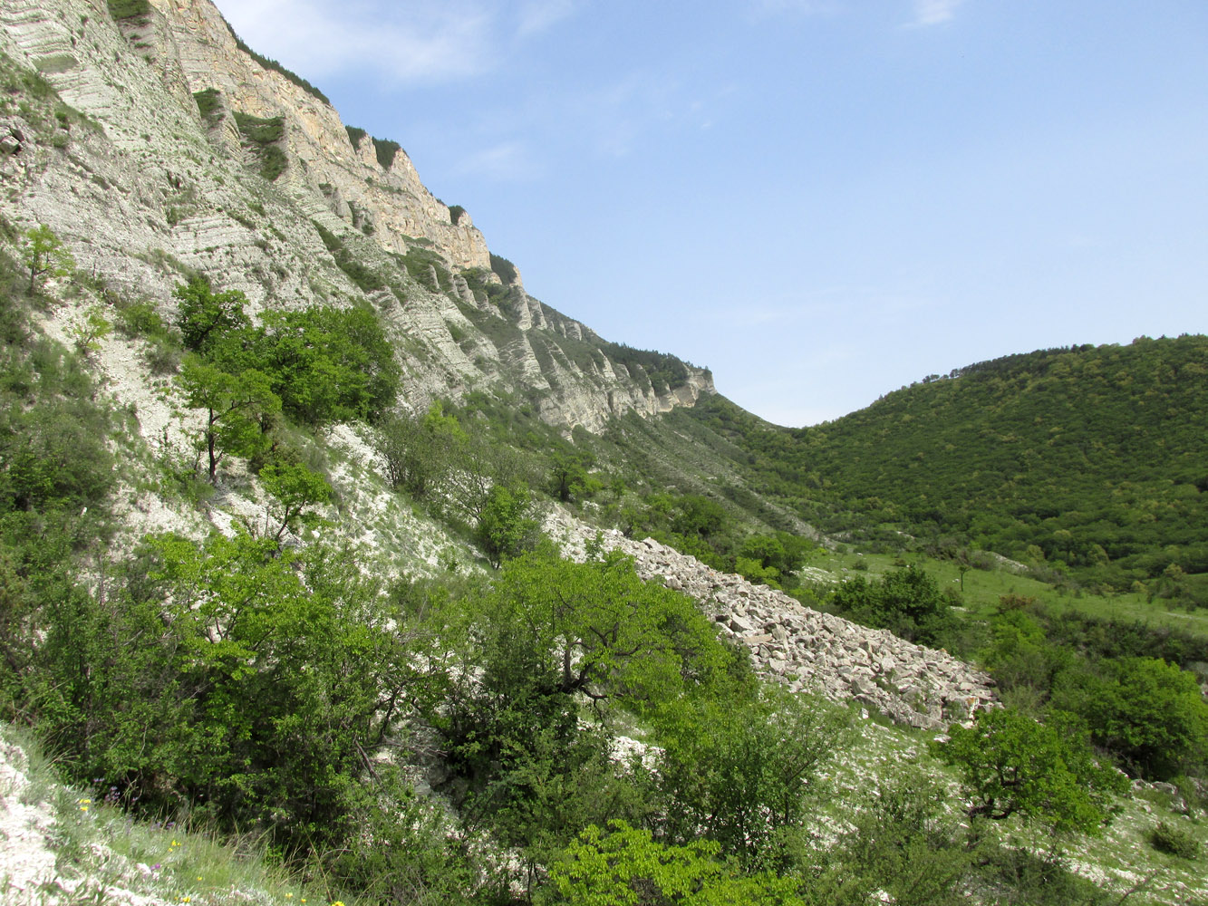 Цудахар, изображение ландшафта.