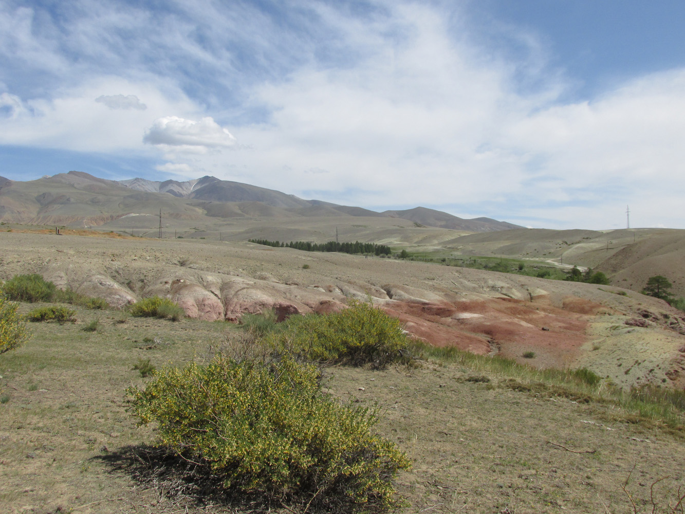 Тыдтуярык (кемпинг и рядом), image of landscape/habitat.