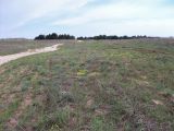 Заказник "Нижне-Кундрюченский", image of landscape/habitat.