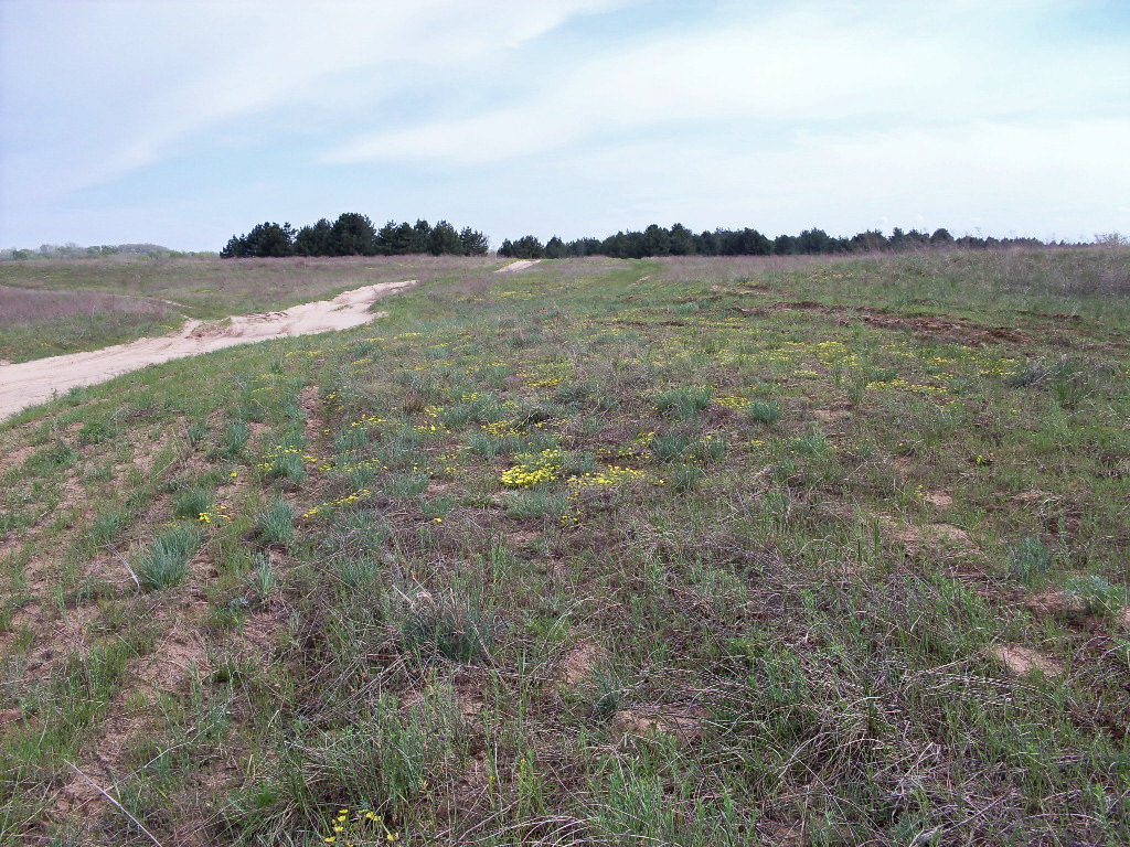 Заказник "Нижне-Кундрюченский", image of landscape/habitat.