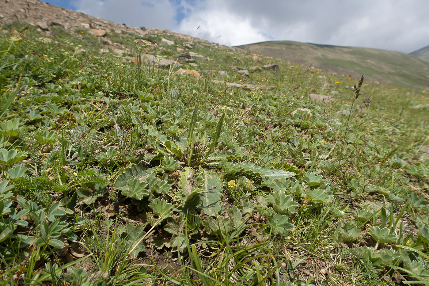 Чегетджара, image of landscape/habitat.