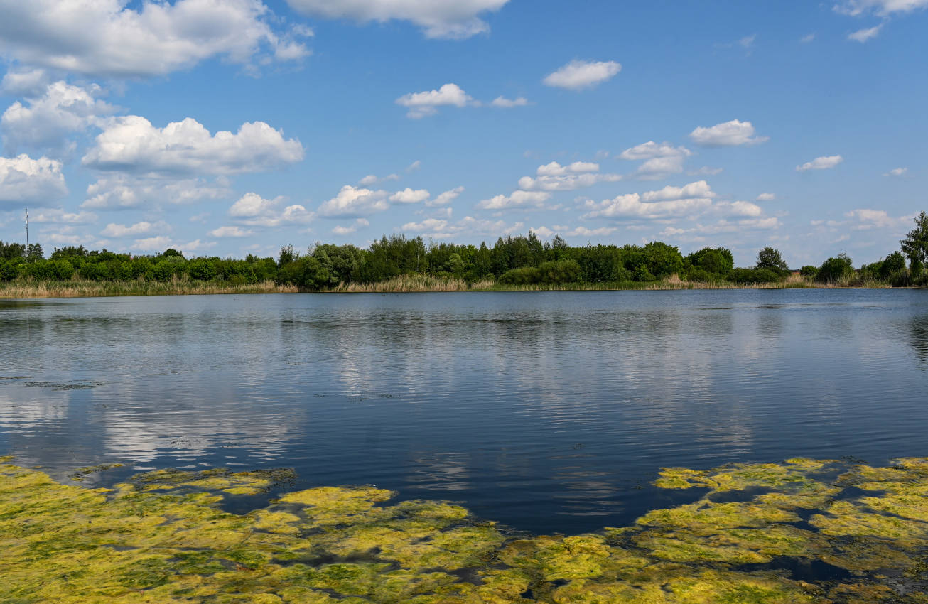 Железнодорожный, image of landscape/habitat.