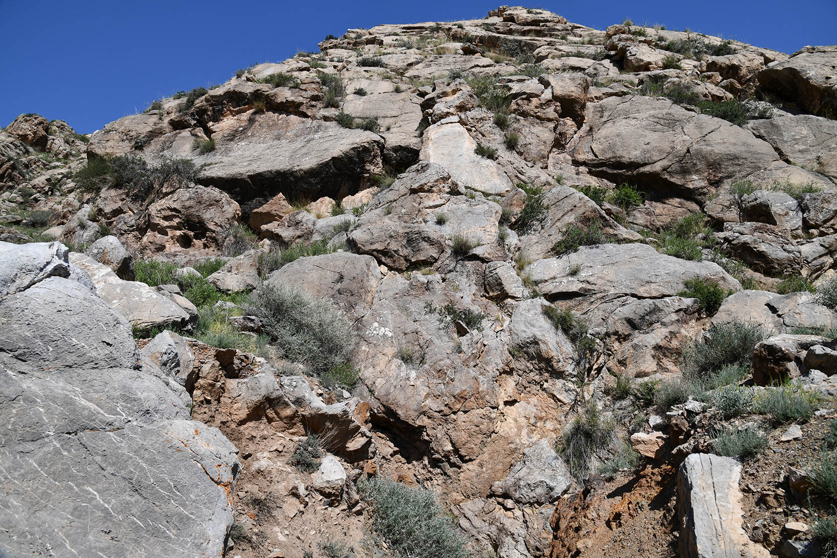 Кон-и-Гут, image of landscape/habitat.