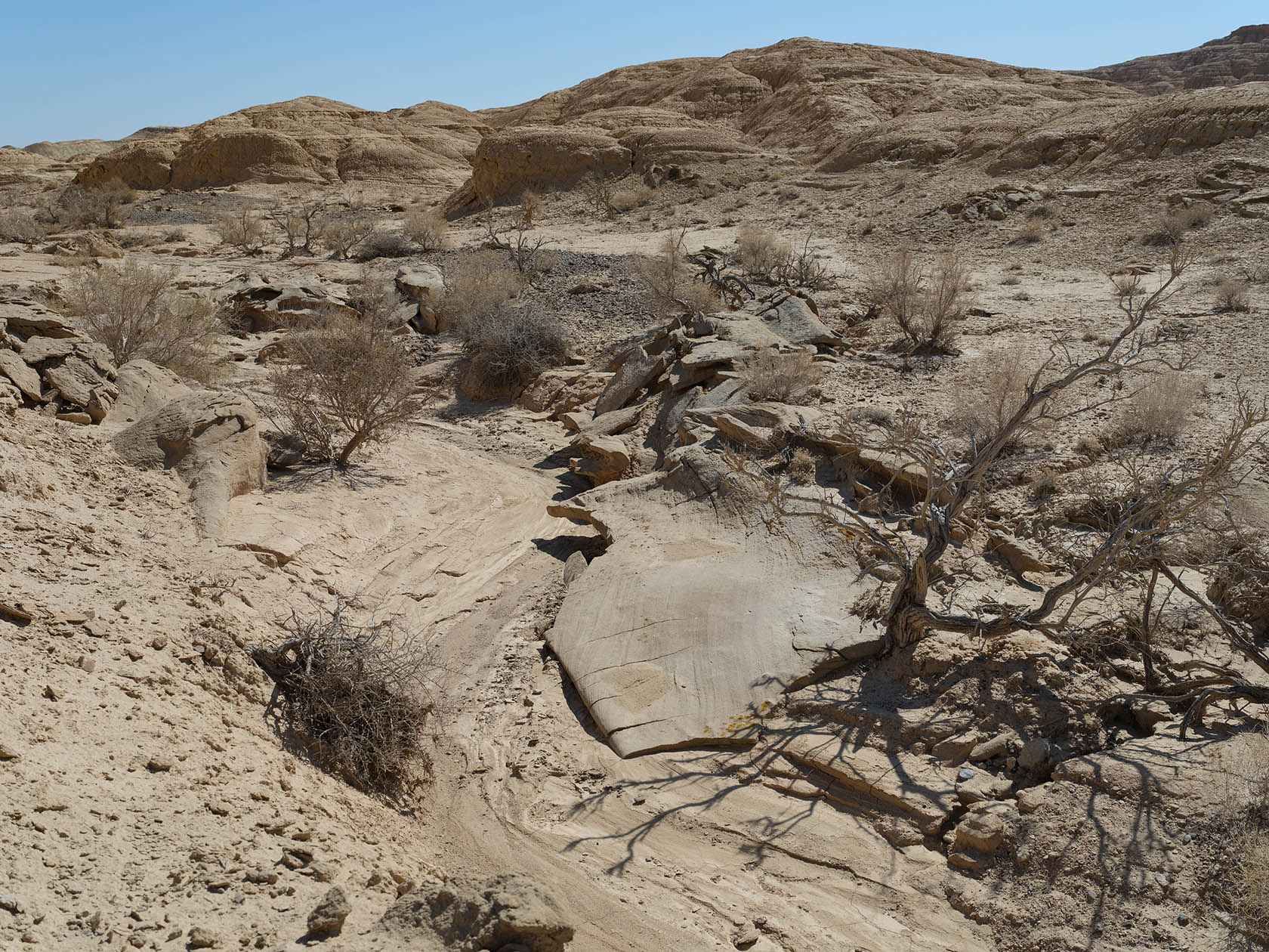 Сарымсакты, image of landscape/habitat.