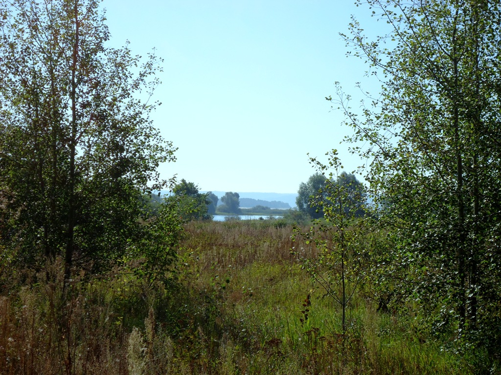 Солдыбаево, изображение ландшафта.