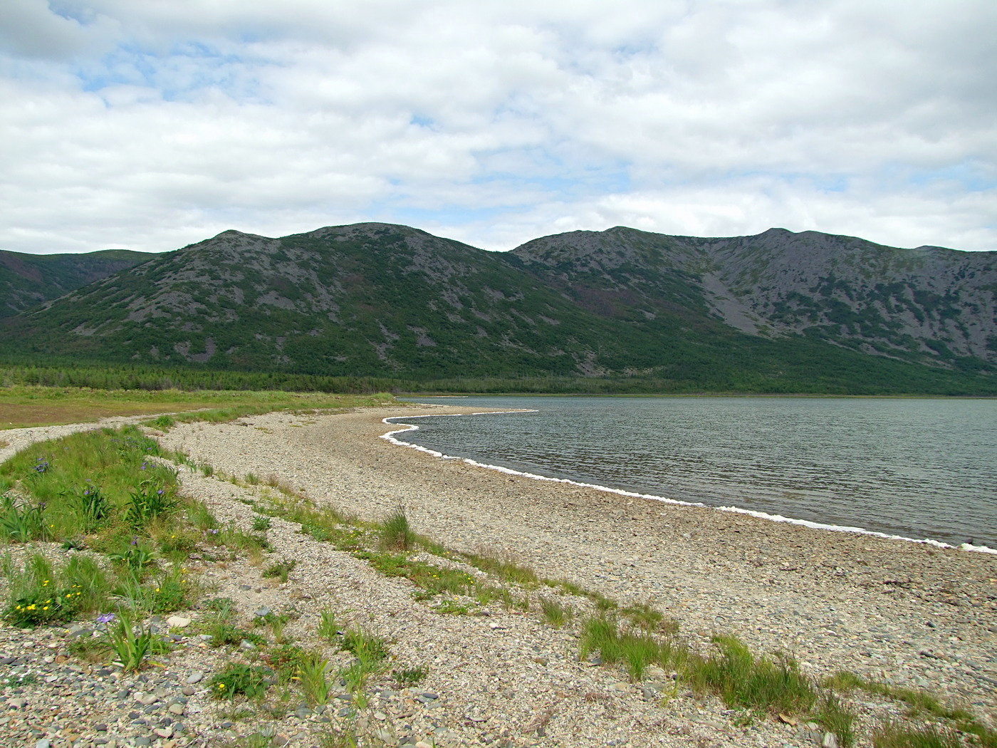 Соленое, image of landscape/habitat.