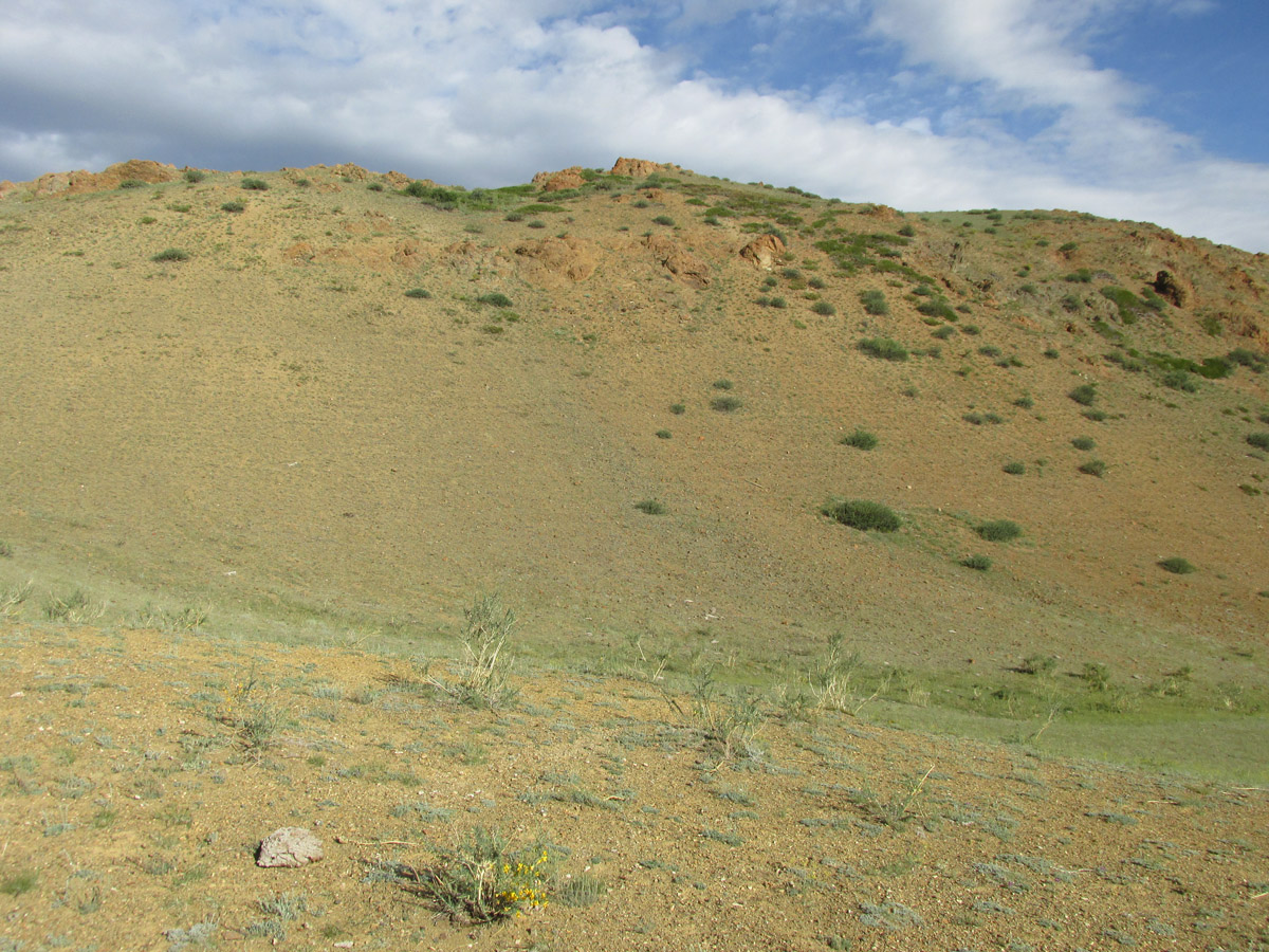 Тыдтуярык (кемпинг и рядом), image of landscape/habitat.