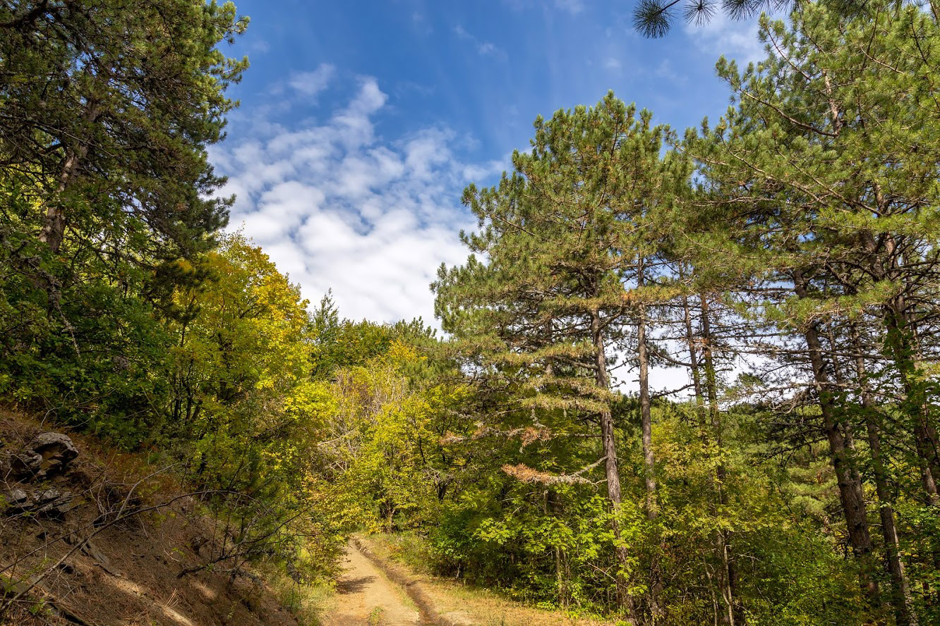 Урочище Парагильмен, image of landscape/habitat.