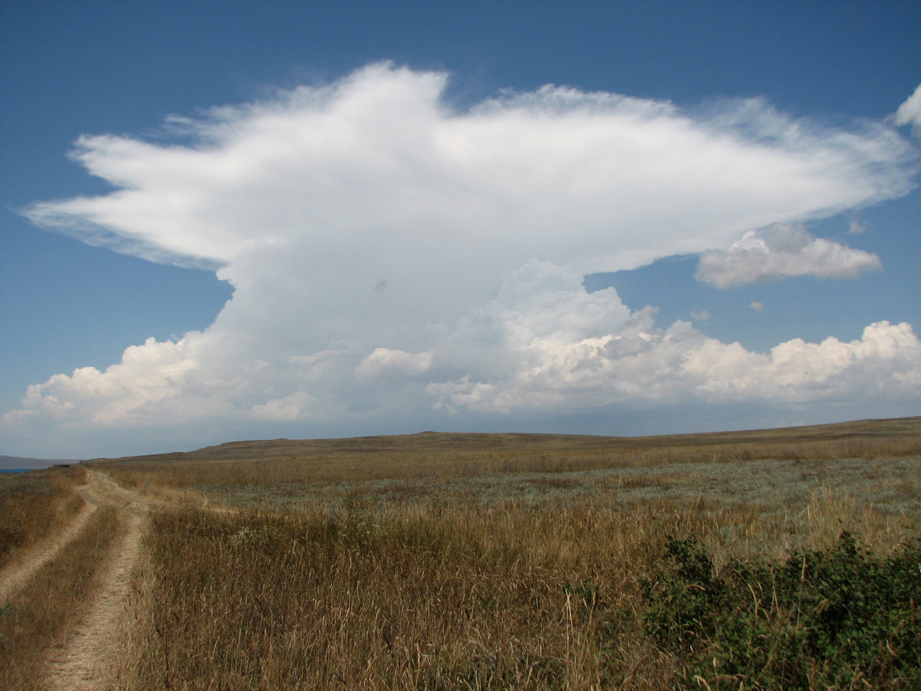 Окр. Яковенково, image of landscape/habitat.