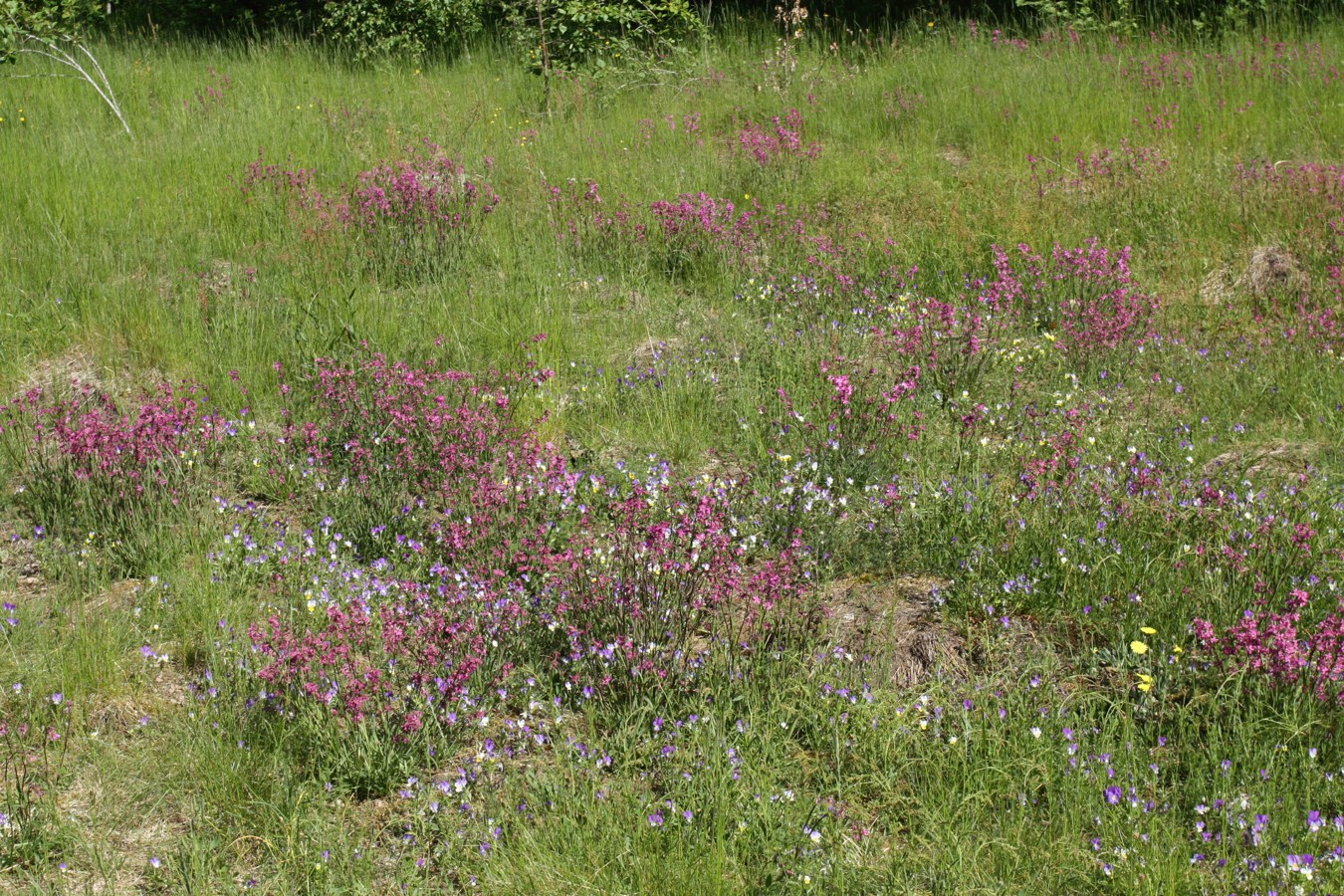 Каравалдай, image of landscape/habitat.