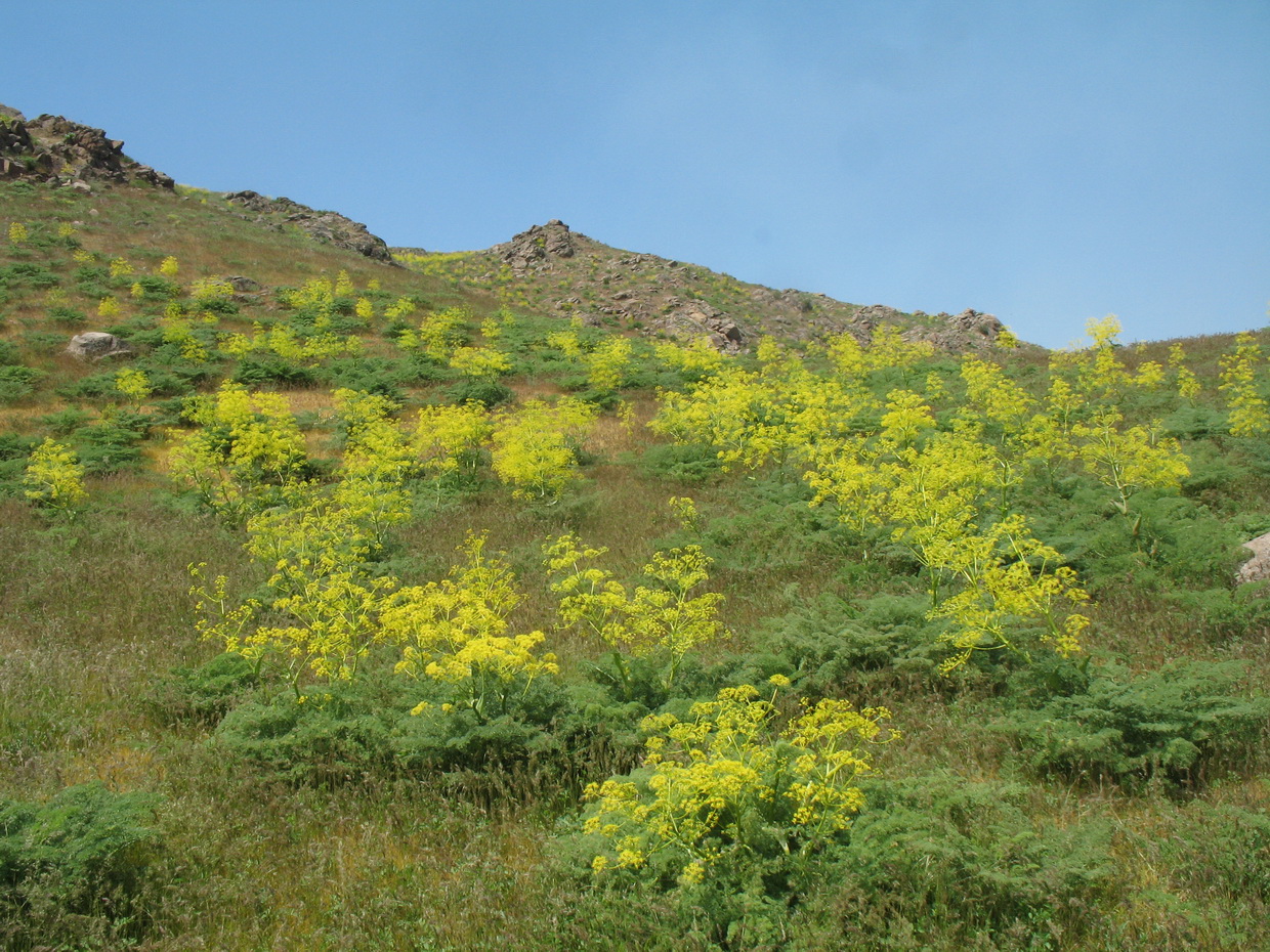 Улькунбурултау (север), изображение ландшафта.