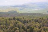 Image of landscape