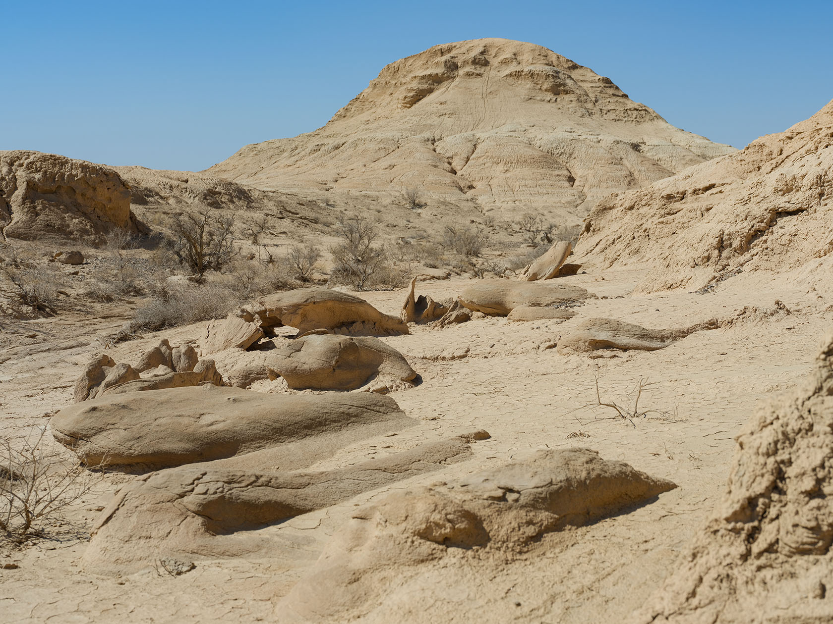 Сарымсакты, image of landscape/habitat.