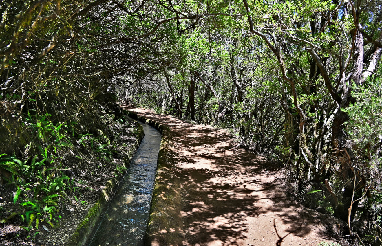 Верховья реки Рибейра-Гранде, image of landscape/habitat.