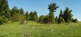 Image of landscape