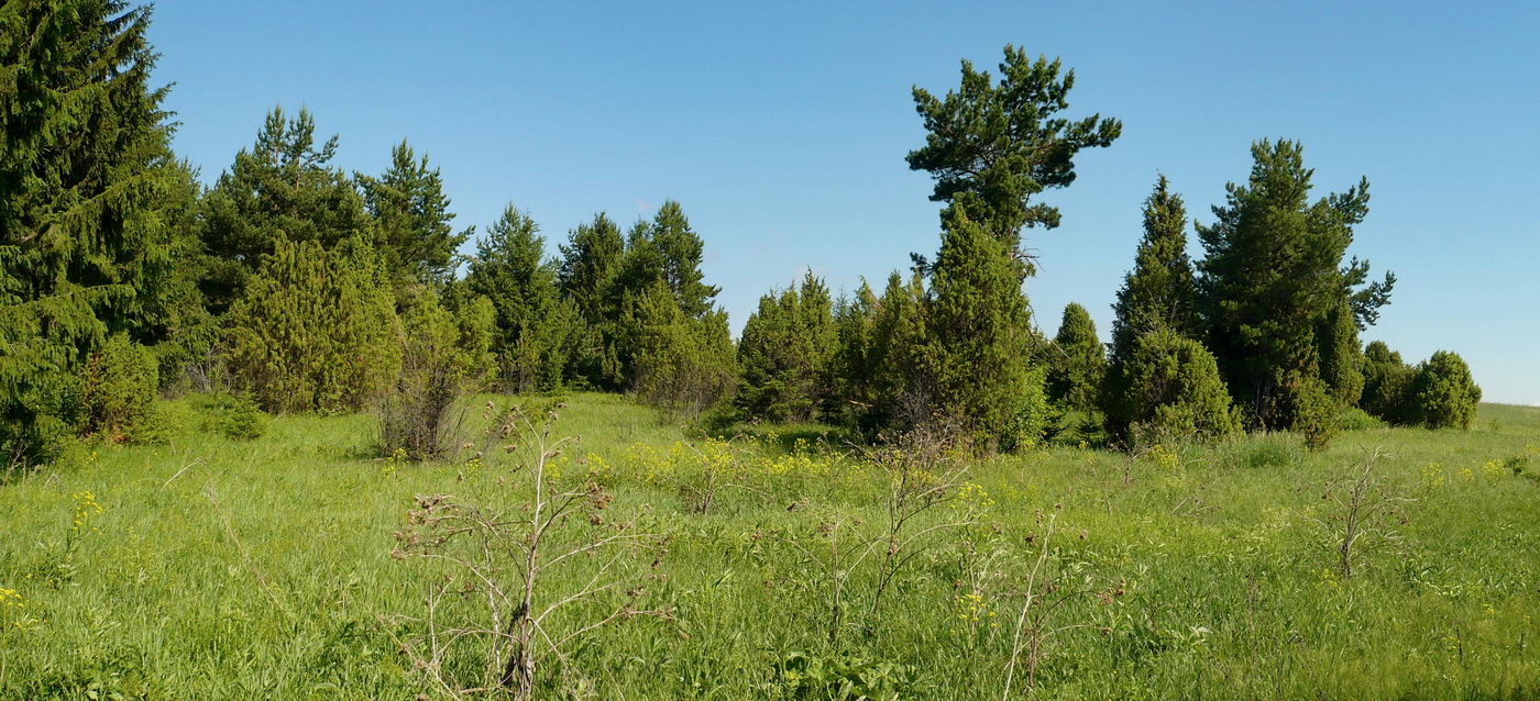 Окрестности деревни Поварёнки, image of landscape/habitat.