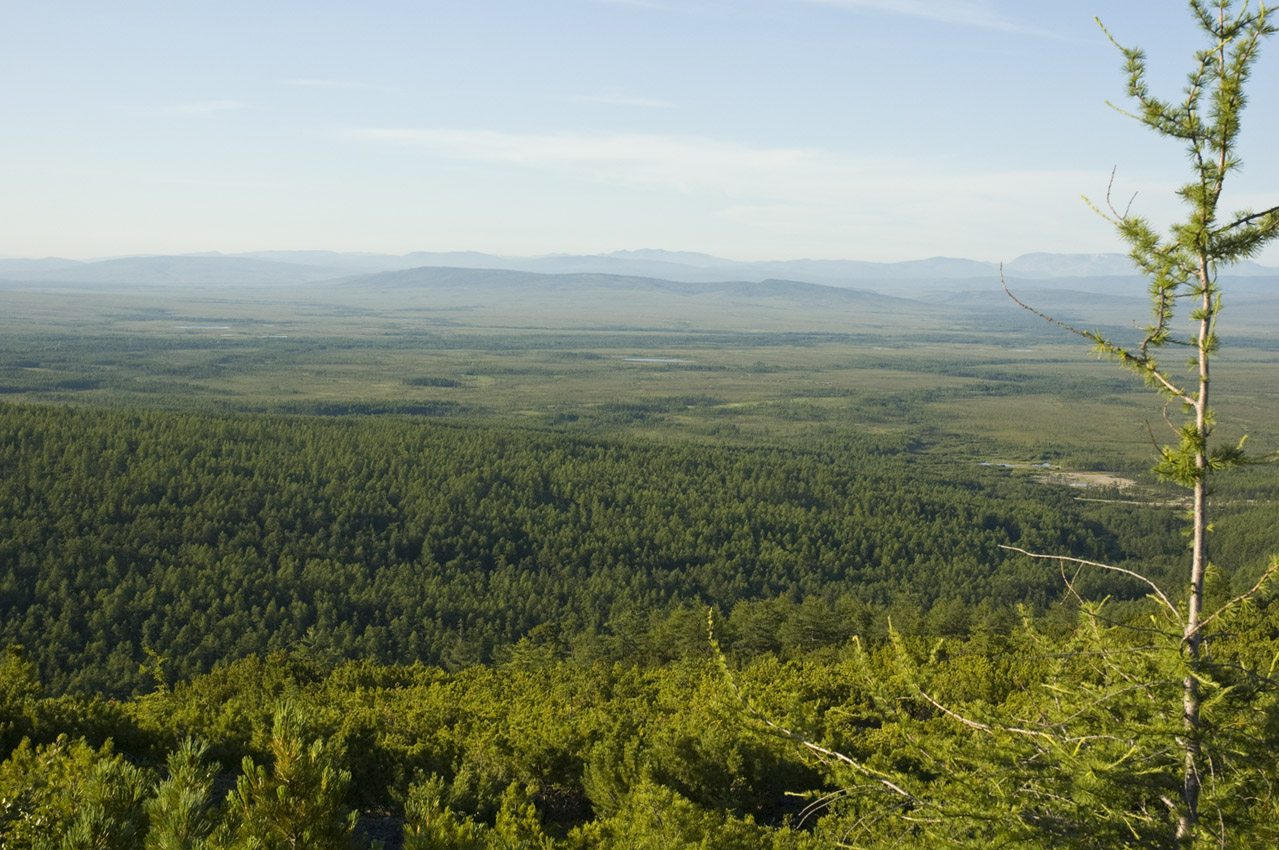 Охотск, image of landscape/habitat.