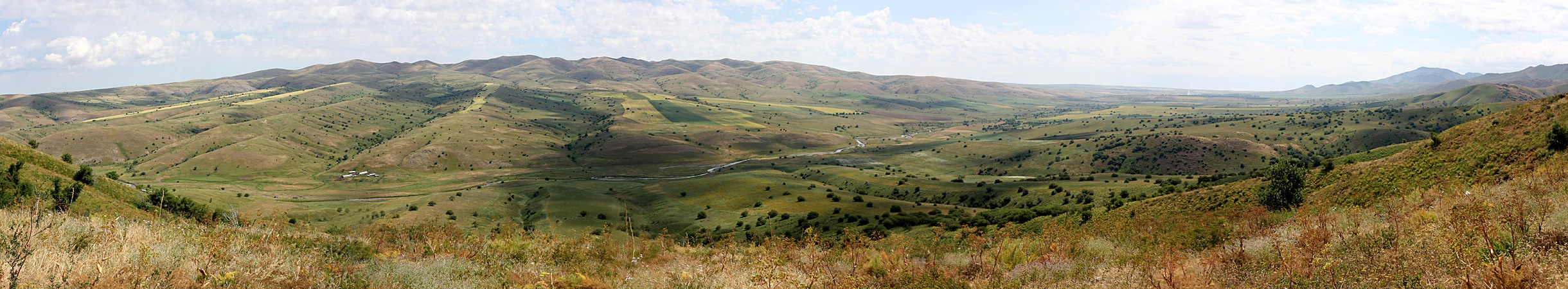 Верхний Боролдай, image of landscape/habitat.