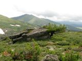 Image of landscape