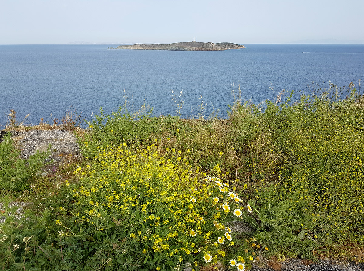 Остров Сирос, image of landscape/habitat.