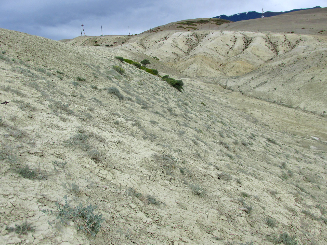 Тыдтуярык (кемпинг и рядом), image of landscape/habitat.