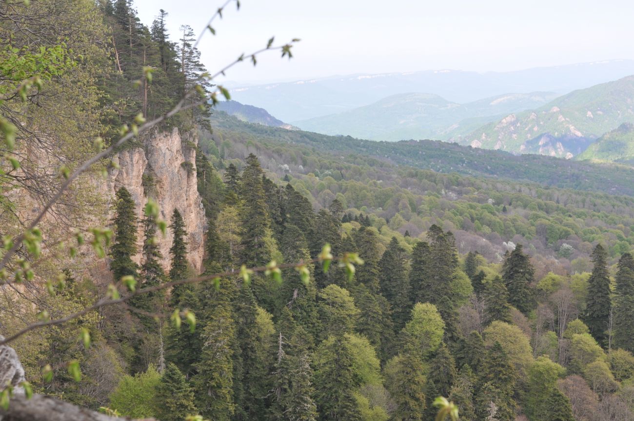 Окрестности Бол. Азишской пещеры, image of landscape/habitat.