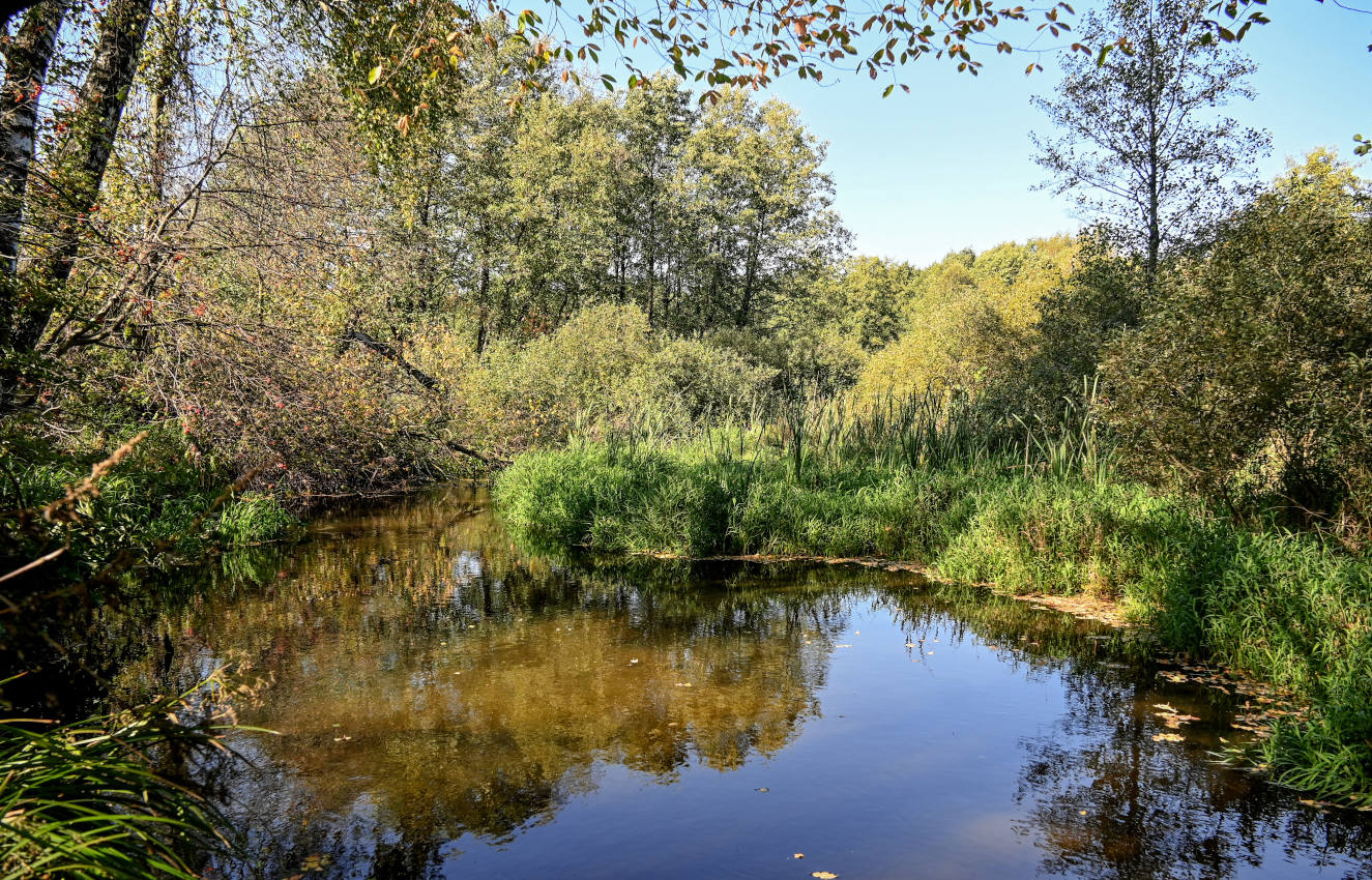 Железнодорожный, image of landscape/habitat.