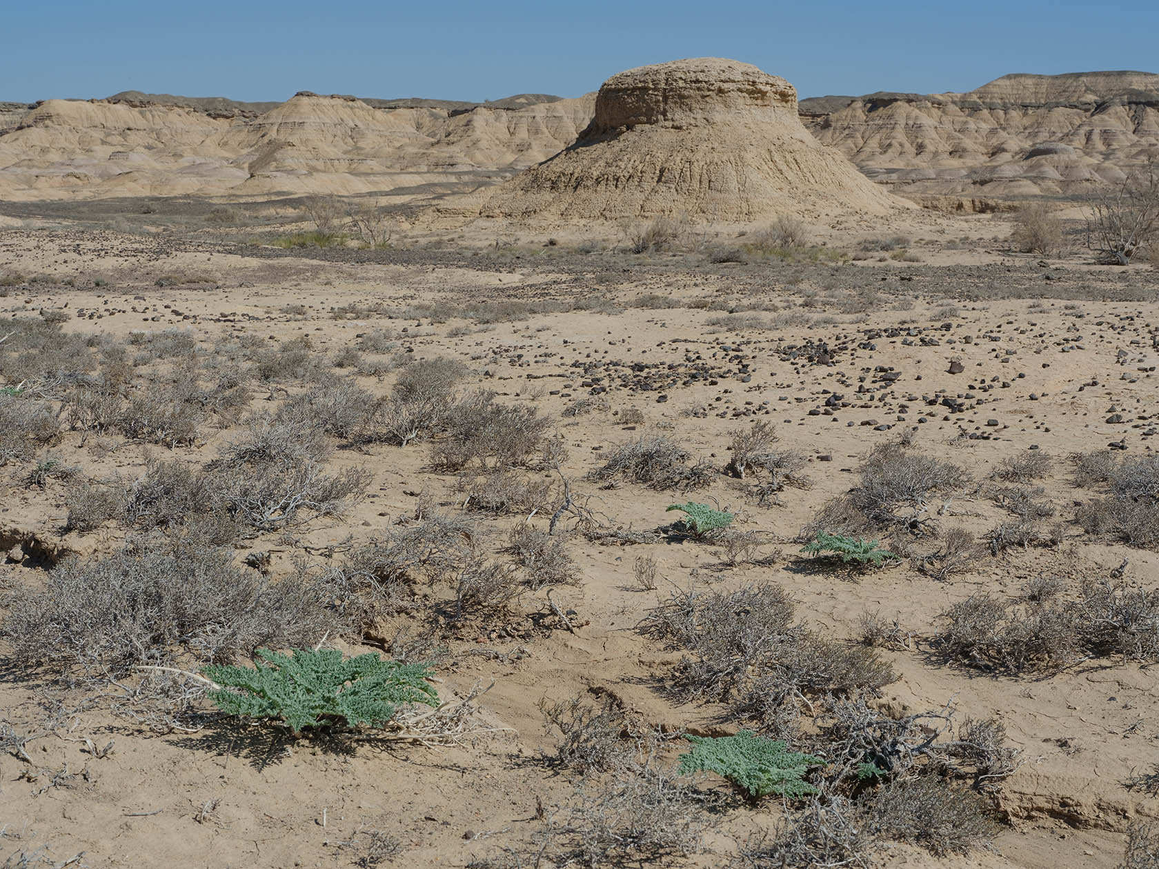 Сарымсакты, image of landscape/habitat.
