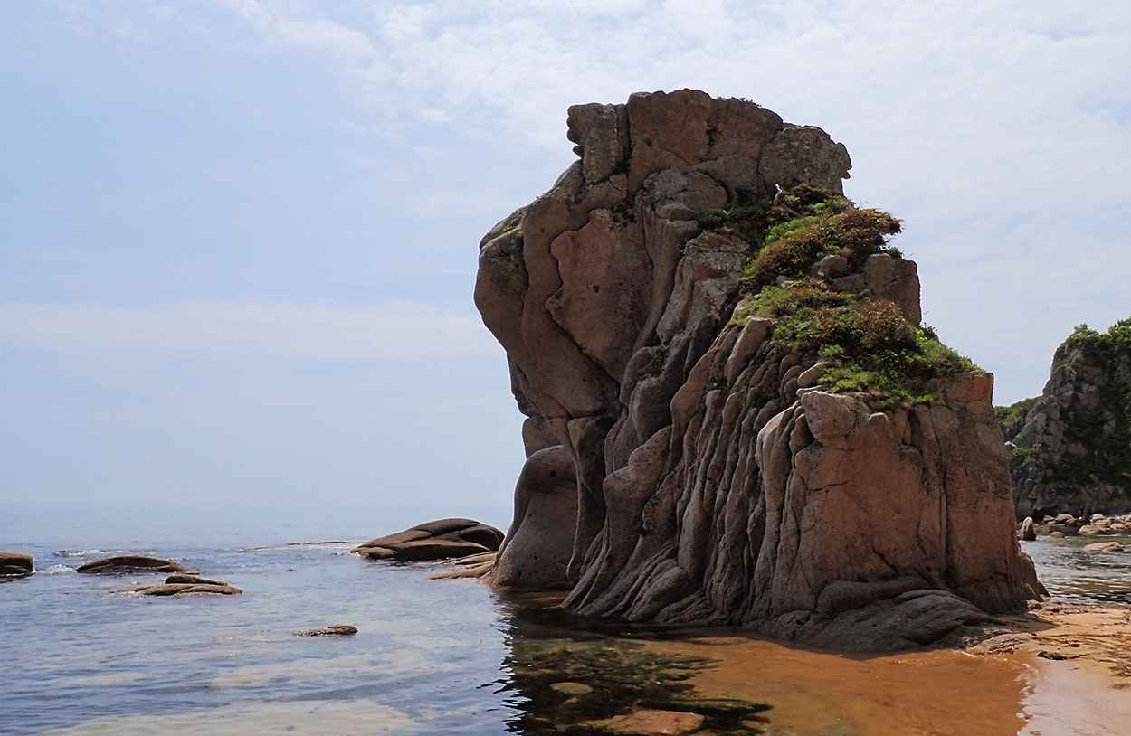 Бухта Заря, image of landscape/habitat.
